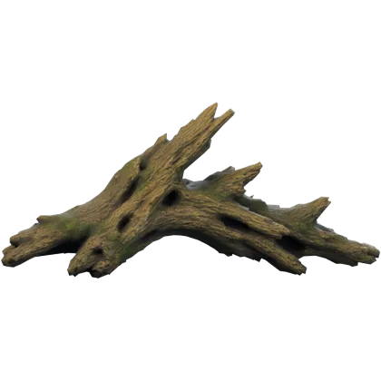 Driftwood