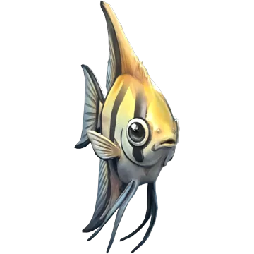 Angelfish