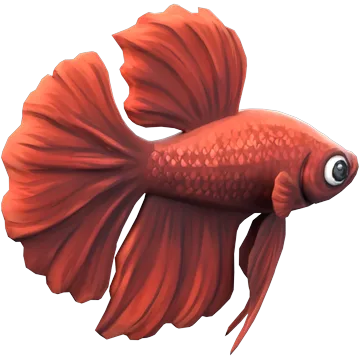 Betta