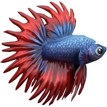 Crown Betta