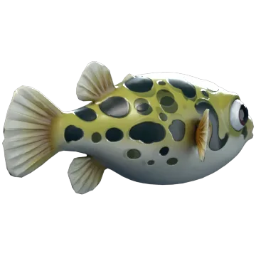 Dwarf Puffer