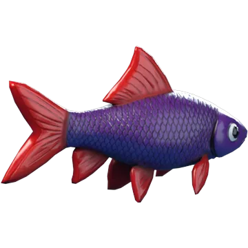 Rainbow Shark